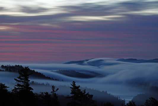 La Cloche Spirit: Contemplating Beginner's Mind