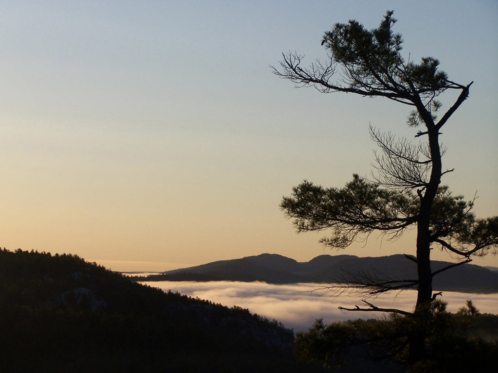 Willisville Mountain