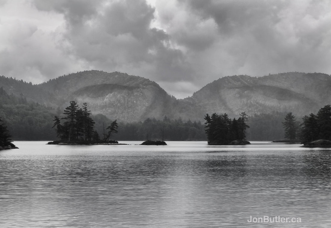 The Birth of the Surrealist Movement