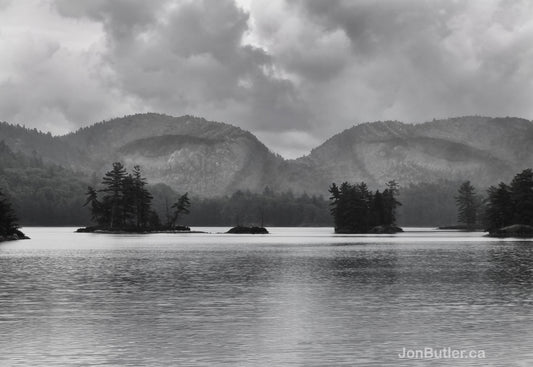 The Birth of the Surrealist Movement