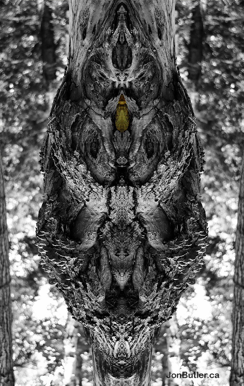 'I felt I was being watched' a photomontage and how this image was created - 1,2,3,4 & 5.
