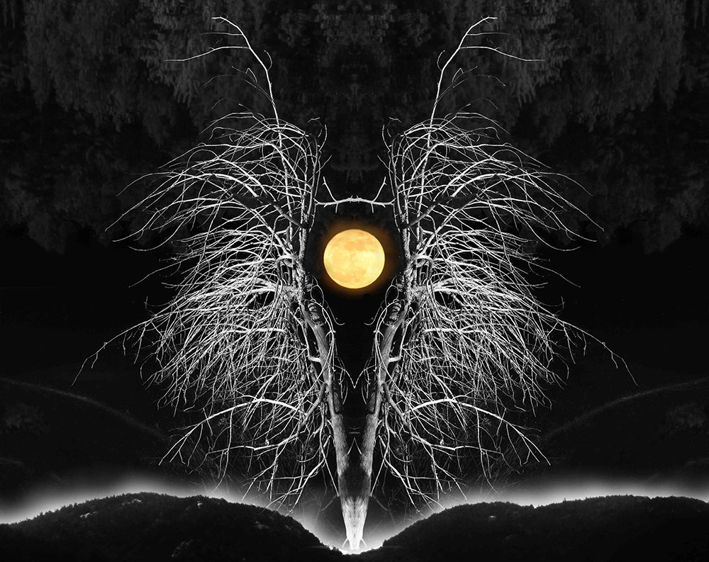 All about the beauty of a Full Moon