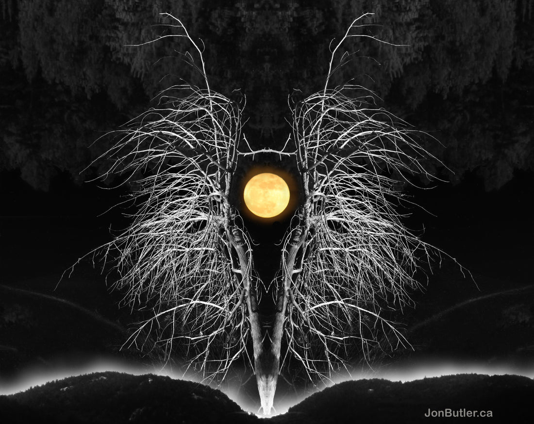 Photomontage...what it is!