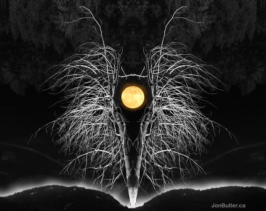 Photomontage...what it is!