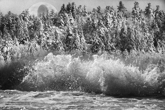 What's on my mind....Spring!