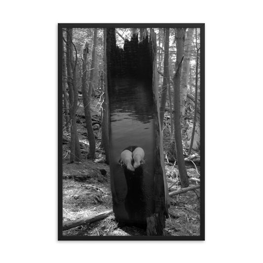 'Diving' framed poster of an original photomontage by Jon Butler