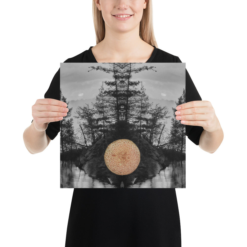 'Mushroom VII' poster of an original photomontage by Jon Butler