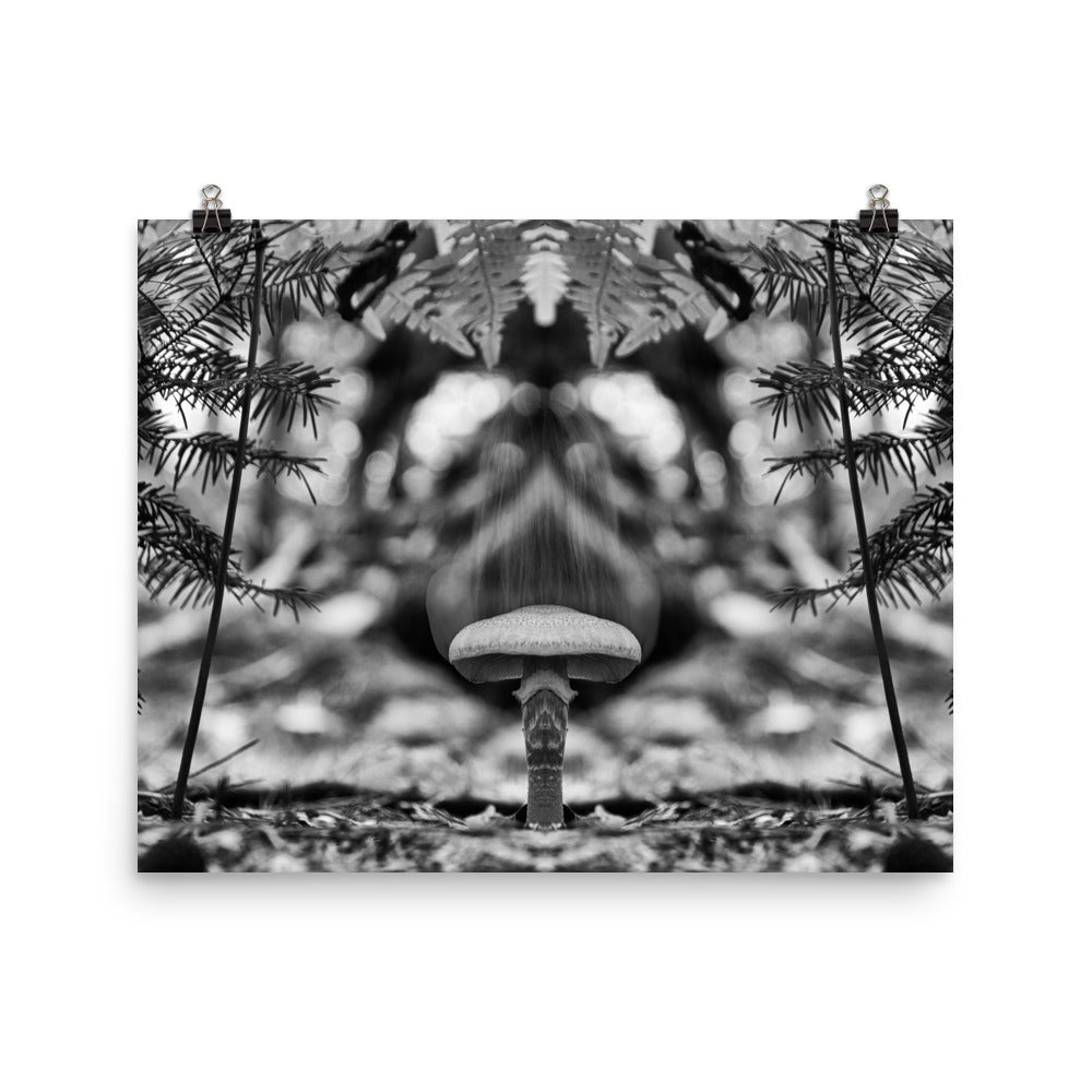 'Mushroom I' poster of an original photomontage by Jon Butler