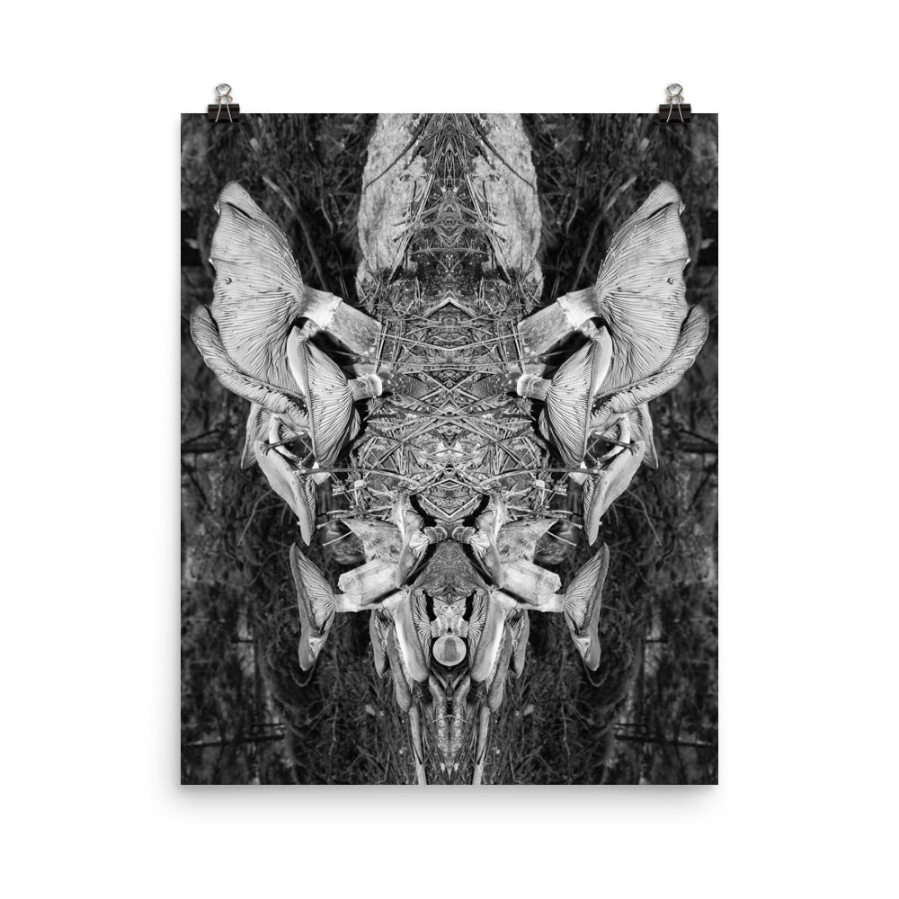 'Mushroom IV' poster of an original photomontage by Jon Butler
