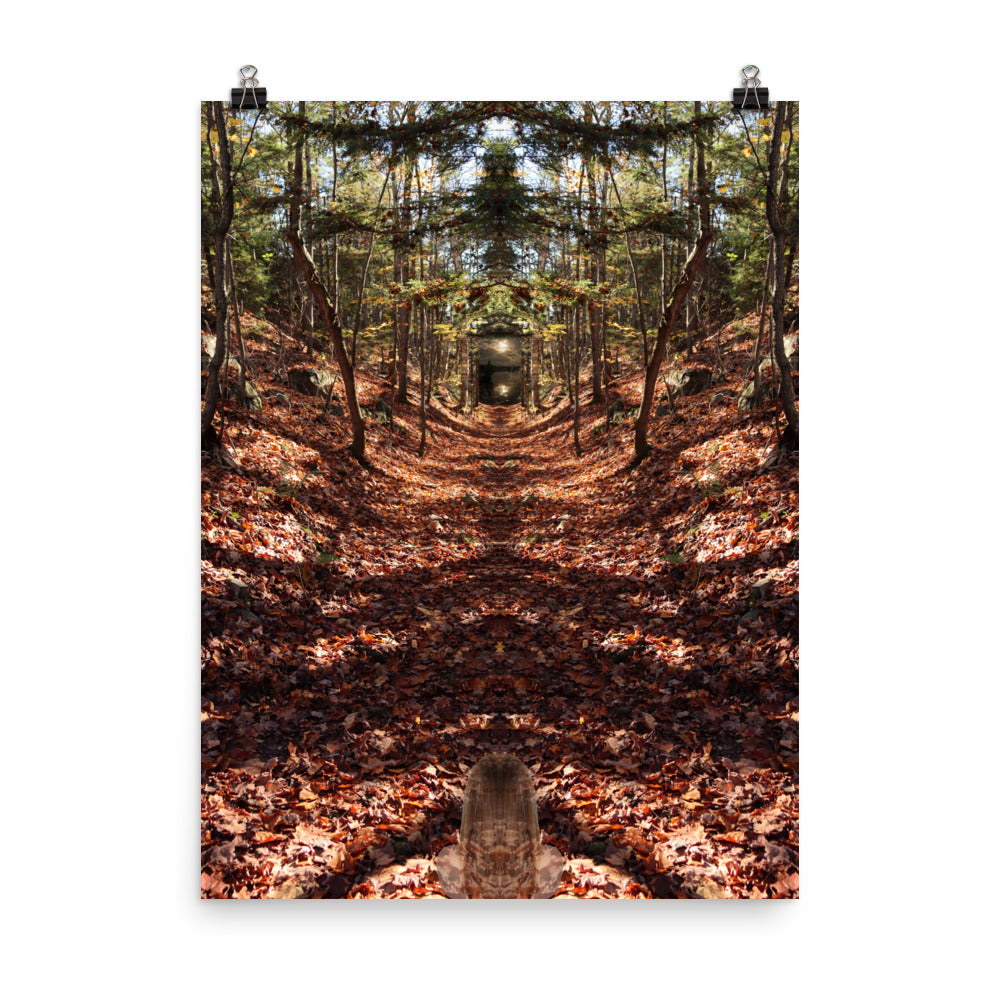 'We followed the trail and discovered her dream' poster of an original photomontage by Jon Butler