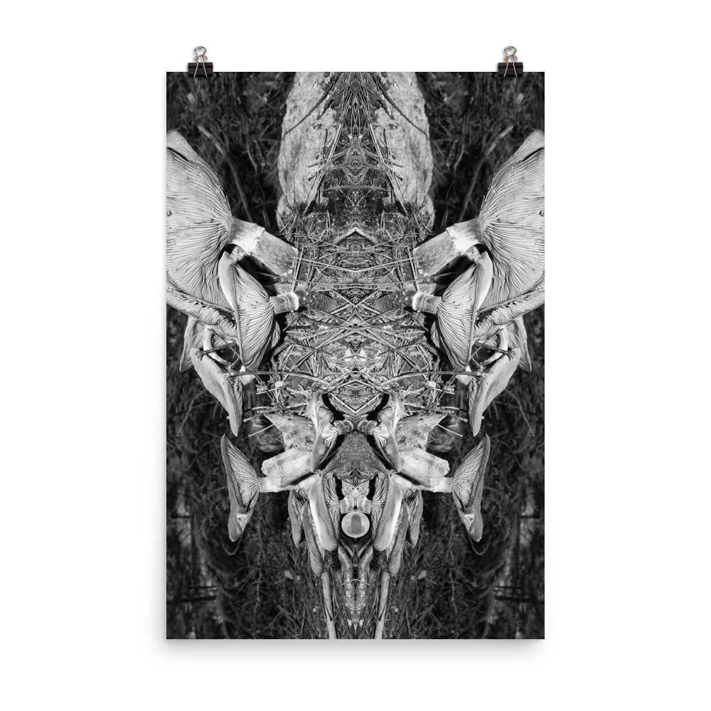 'Mushroom IV' poster of an original photomontage by Jon Butler