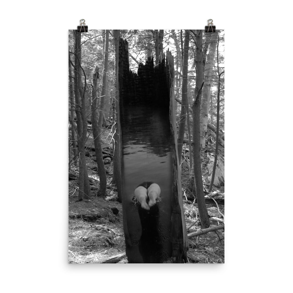 'Diving' poster of an original photomontage by Jon Butler