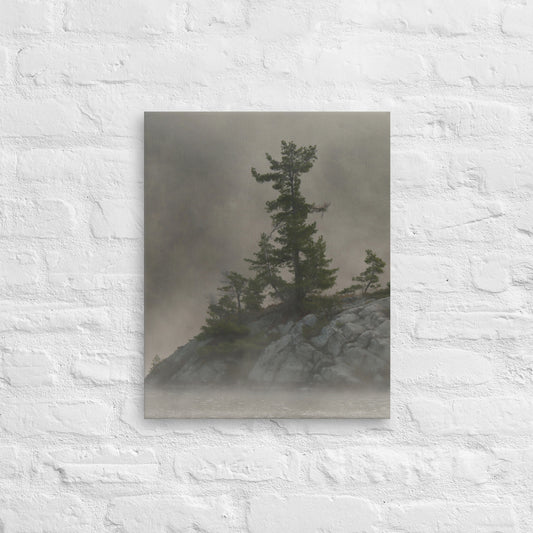 'Autumn Mist' photograph by Jon Butler