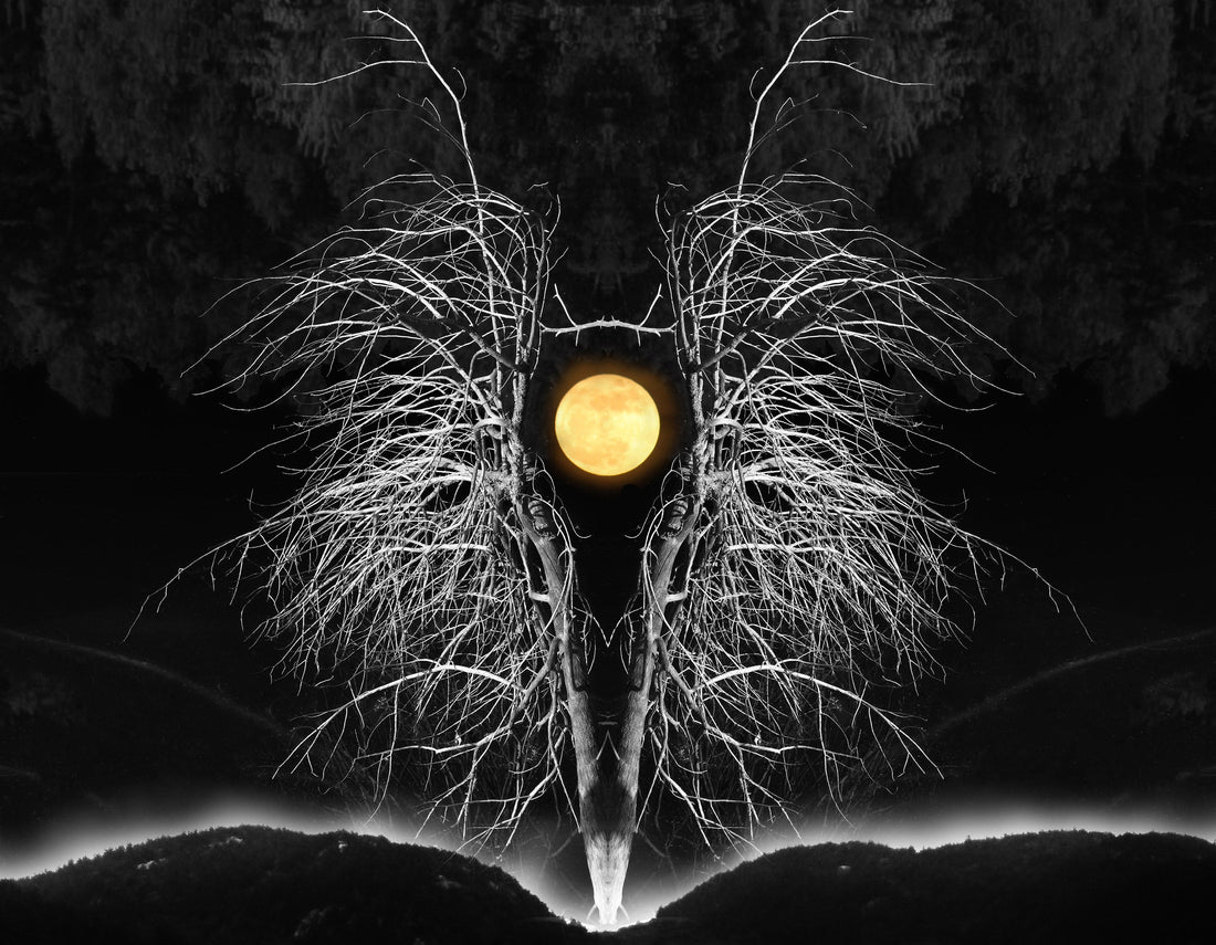 Video collaboration with Jon Butler & Steve Raizen aka Frozen Lonesome