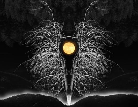 Video collaboration with Jon Butler & Steve Raizen aka Frozen Lonesome