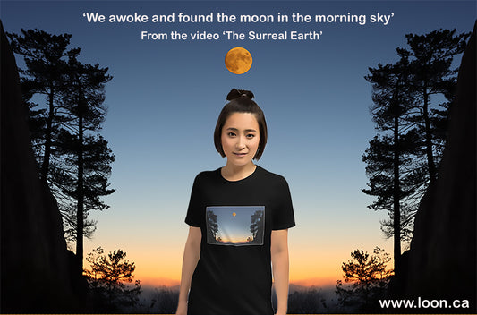To mark the release of 'The Surreal Earth', we’re offering $10 OFF every t-shirt