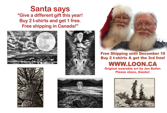 Santa Says "Free shipping in Canada! Buy 2 t-shirts & get the 3rd free".