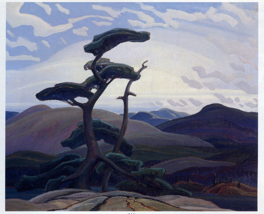 'Old Pine, Grace Lake' by Franklin Carmichael