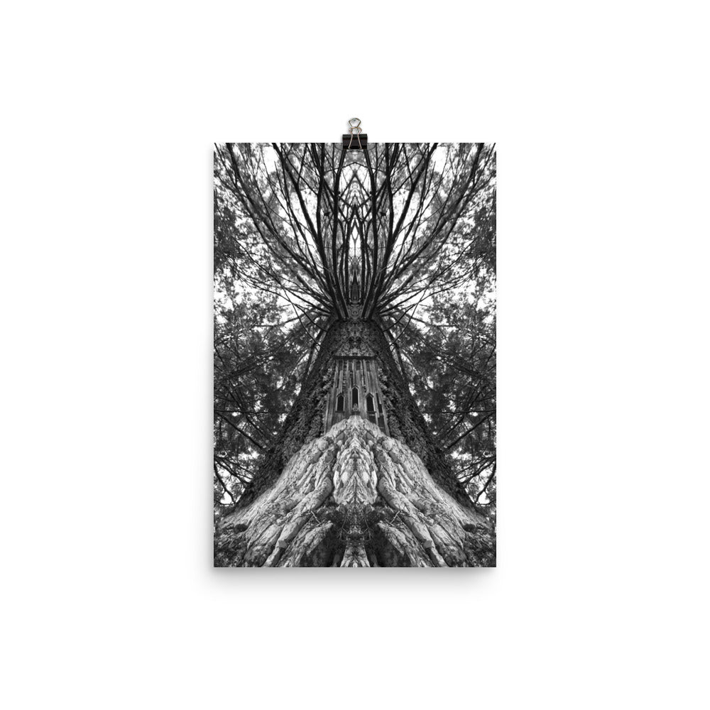 'Tree' poster of an original photomontage by Jon Butler