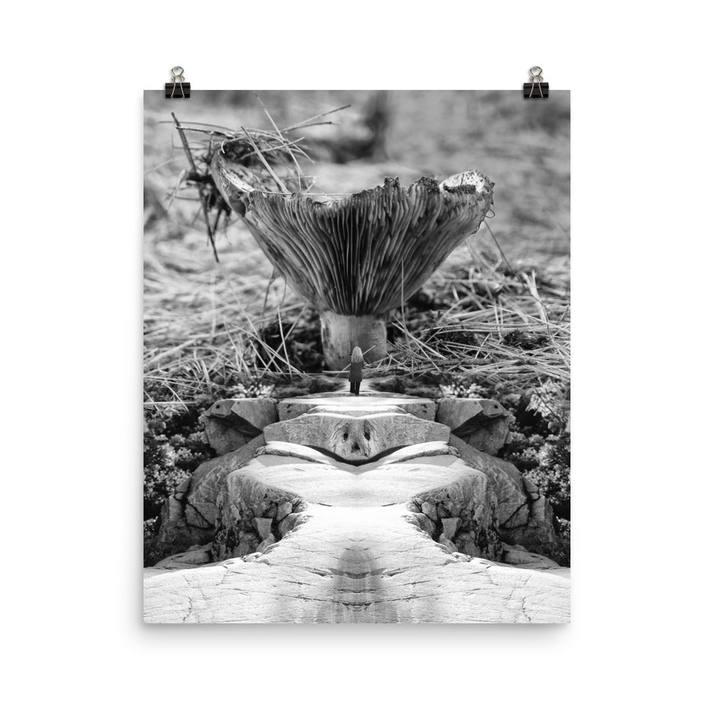 'Mushroom V' poster of an original photomontage by Jon Butler