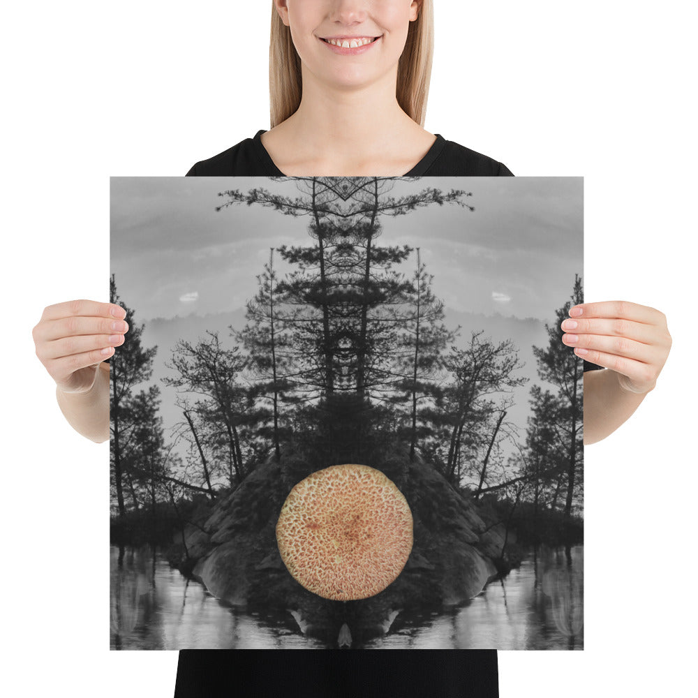 'Mushroom VII' poster of an original photomontage by Jon Butler