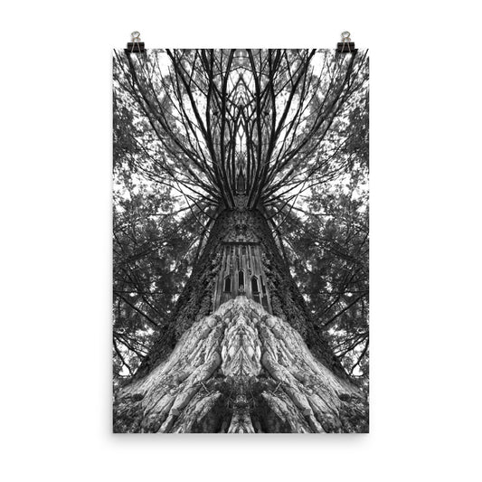 'Tree' poster of an original photomontage by Jon Butler