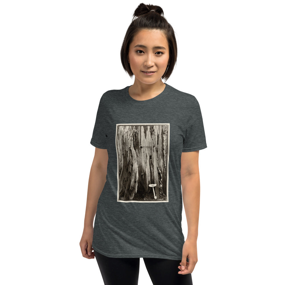 'Ancient Law of Life' Short-Sleeve Unisex T-Shirt