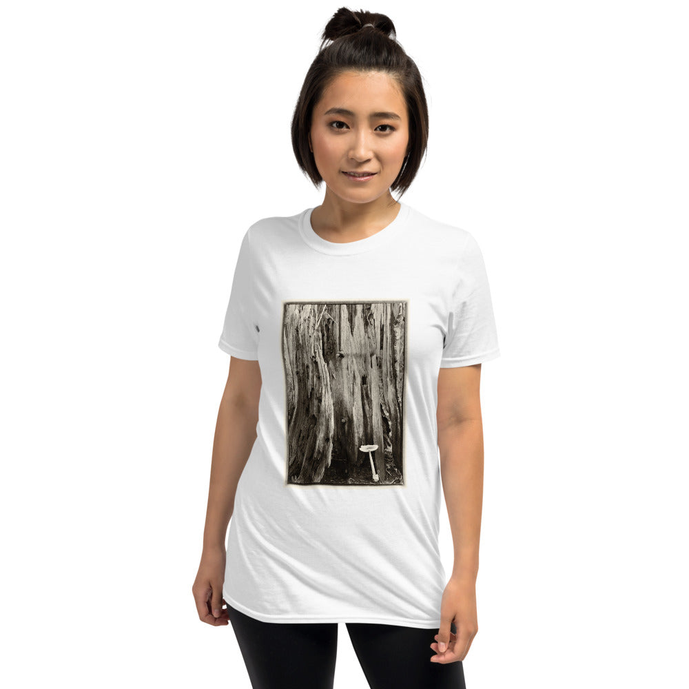 'Ancient Law of Life' Short-Sleeve Unisex T-Shirt